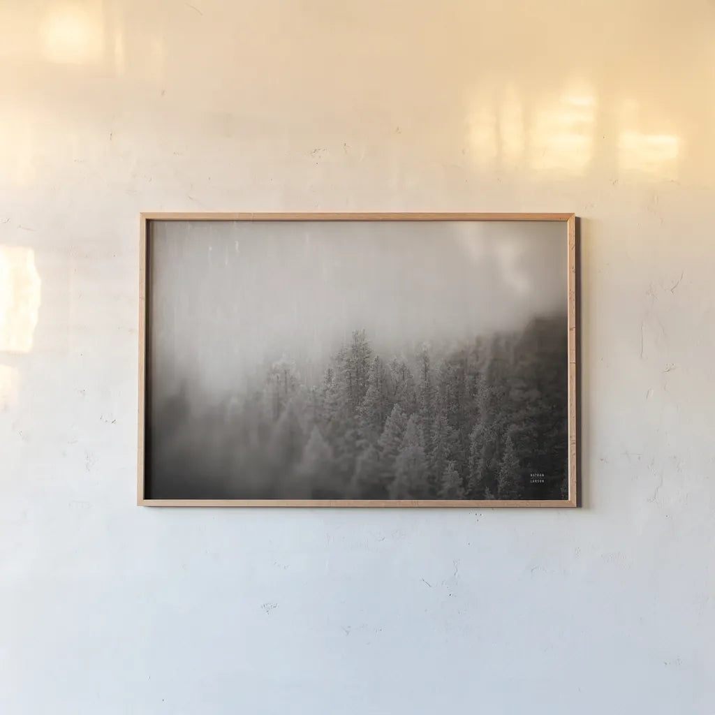 Northern Forests BW by Nathan Larson. shown as a paper print in a natural frame. Available as a archival giclee rolled canvas, fine art paper, or poster print. SKU 82413i.