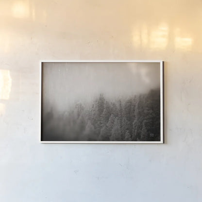 Northern Forests BW by Nathan Larson. shown as a paper print in a white frame. Available as a archival giclee rolled canvas, fine art paper, or poster print. SKU 82413i.