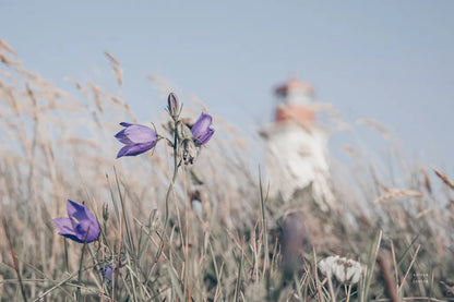 Nova Scotia Coast by Nathan Larson. SKU 101656i. Archival Giclee Fine art print for wall decor.