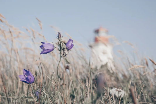 Nova Scotia Coast by Nathan Larson. SKU 101656i. Archival Giclee Fine art print for wall decor.