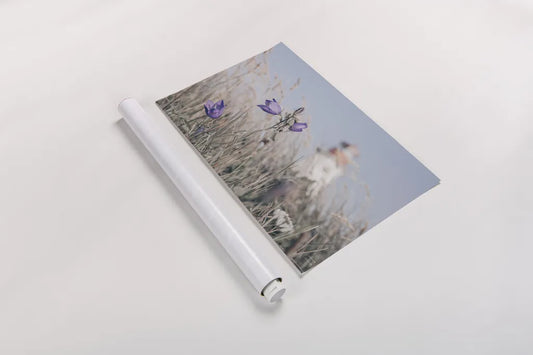 Nova Scotia Coast by Nathan Larson. shown as a rolled paper print. Available as archival giclee rolled canvas, fine art paper, or poster print. SKU 101656i.