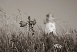 Nova Scotia Coast Sepia by Nathan Larson. SKU 101657i. Archival Giclee Fine art print for wall decor.