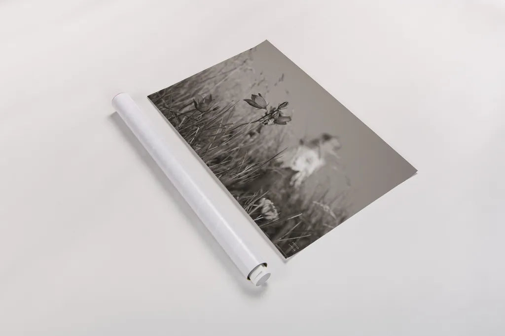 Nova Scotia Coast Sepia by Nathan Larson. shown as a rolled paper print. Available as archival giclee rolled canvas, fine art paper, or poster print. SKU 101657i.