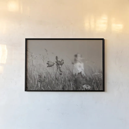 Nova Scotia Coast Sepia by Nathan Larson. shown as a paper print in a black flame. Available as a archival giclee rolled canvas, fine art paper, or poster print. SKU 101657i.