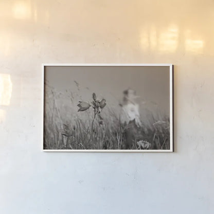 Nova Scotia Coast Sepia by Nathan Larson. shown as a paper print in a white frame. Available as a archival giclee rolled canvas, fine art paper, or poster print. SKU 101657i.