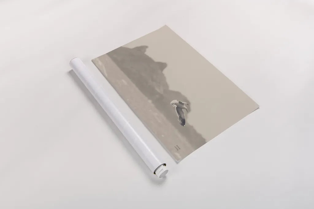 Oceanside Flight by Nathan Larson. shown as a rolled paper print. Available as archival giclee rolled canvas, fine art paper, or poster print. SKU 91852i.