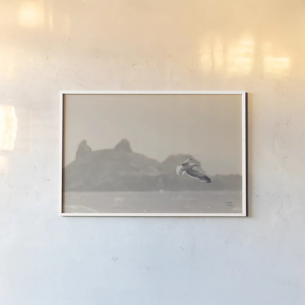 Oceanside Flight by Nathan Larson. shown as a paper print in a white frame. Available as a archival giclee rolled canvas, fine art paper, or poster print. SKU 91852i.