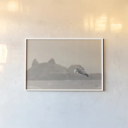 Oceanside Flight by Nathan Larson. shown as a paper print in a white frame. Available as a archival giclee rolled canvas, fine art paper, or poster print. SKU 91852i.