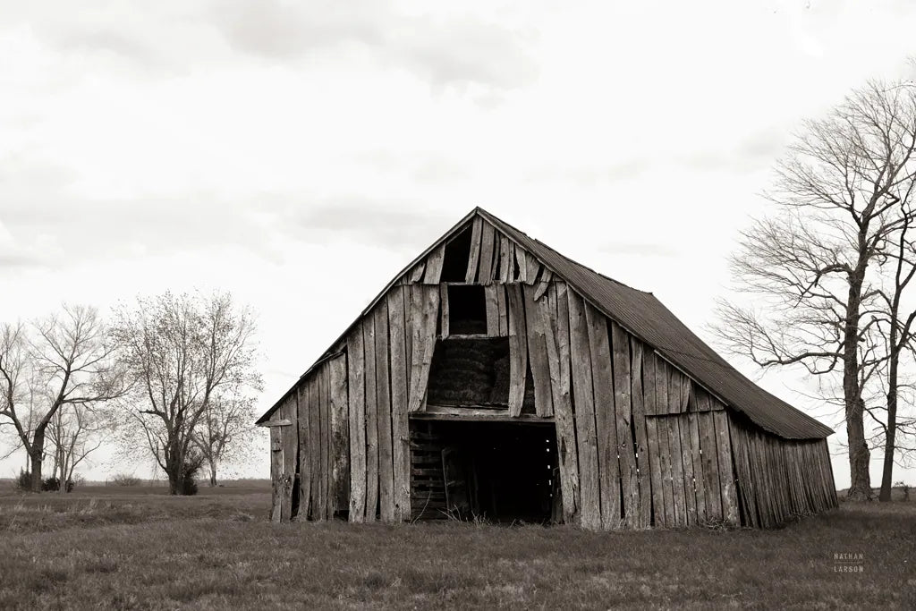 Old Hay Barn by Nathan Larson. SKU 98023i. Archival Giclee Fine art print for wall decor.