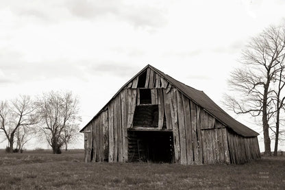 Old Hay Barn by Nathan Larson. SKU 98023i. Archival Giclee Fine art print for wall decor.