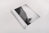 On Guard by Nathan Larson. shown as a rolled paper print. Available as archival giclee rolled canvas, fine art paper, or poster print. SKU 90436i.