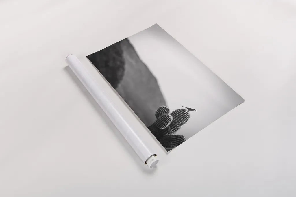 On Guard by Nathan Larson. shown as a rolled paper print. Available as archival giclee rolled canvas, fine art paper, or poster print. SKU 90436i.