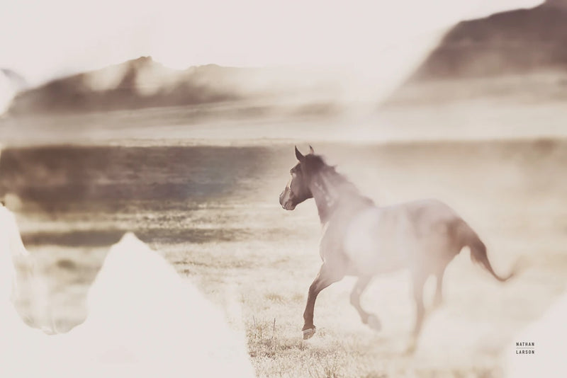 Onaqui Dreams II by Nathan Larson