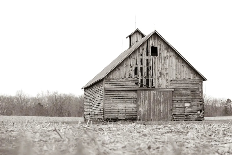 One More Year by Nathan Larson. SKU 98156i. Archival Giclee Fine art print for wall decor.