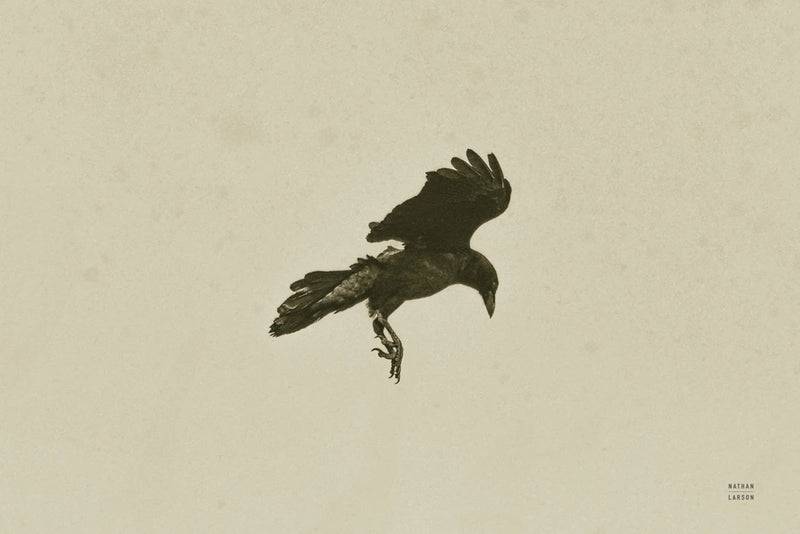 One Way Sepia by Nathan Larson
