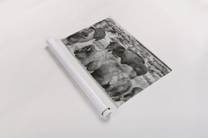 Open Range I by Nathan Larson. shown as a rolled paper print. Available as archival giclee rolled canvas, fine art paper, or poster print. SKU 84327i.