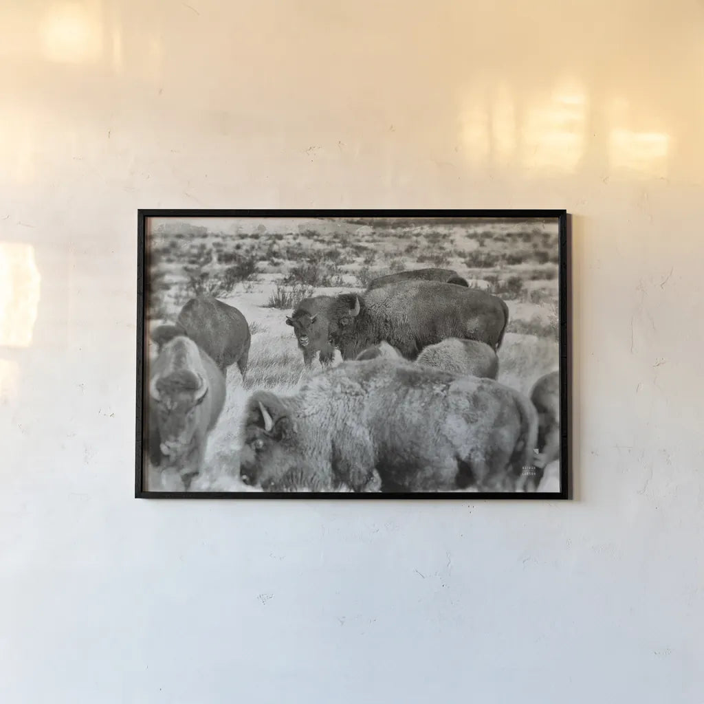 Open Range I by Nathan Larson. shown as a paper print in a black flame. Available as a archival giclee rolled canvas, fine art paper, or poster print. SKU 84327i.