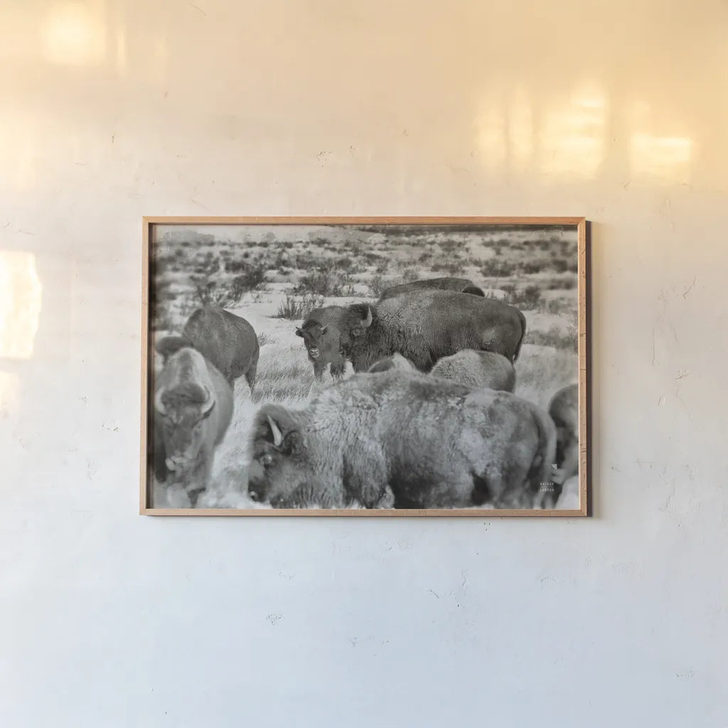Open Range I by Nathan Larson. shown as a paper print in a natural frame. Available as a archival giclee rolled canvas, fine art paper, or poster print. SKU 84327i.