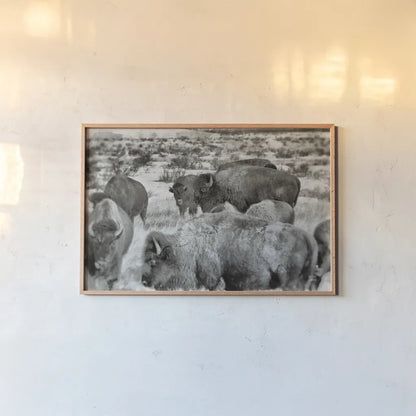 Open Range I by Nathan Larson. shown as a paper print in a natural frame. Available as a archival giclee rolled canvas, fine art paper, or poster print. SKU 84327i.