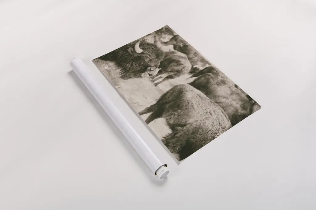 Open Range II by Nathan Larson. shown as a rolled paper print. Available as archival giclee rolled canvas, fine art paper, or poster print. SKU 84328i.