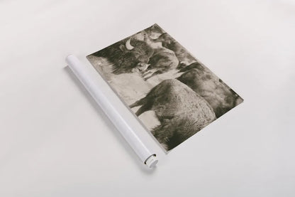 Open Range II by Nathan Larson. shown as a rolled paper print. Available as archival giclee rolled canvas, fine art paper, or poster print. SKU 84328i.