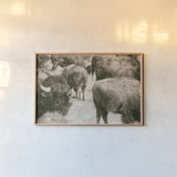 Open Range II by Nathan Larson. shown as a paper print in a natural frame. Available as a archival giclee rolled canvas, fine art paper, or poster print. SKU 84328i.