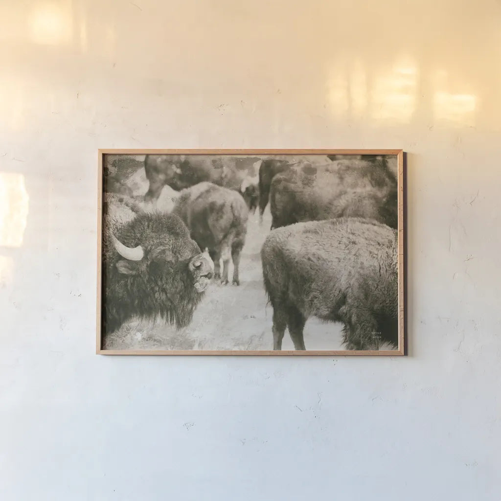 Open Range II by Nathan Larson. shown as a paper print in a natural frame. Available as a archival giclee rolled canvas, fine art paper, or poster print. SKU 84328i.