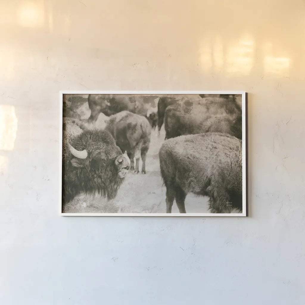 Open Range II by Nathan Larson. shown as a paper print in a white frame. Available as a archival giclee rolled canvas, fine art paper, or poster print. SKU 84328i.