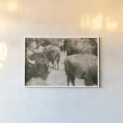 Open Range II by Nathan Larson. shown as a paper print in a white frame. Available as a archival giclee rolled canvas, fine art paper, or poster print. SKU 84328i.