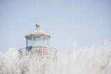Oregon Coast Lighthouse Color by Nathan Larson. SKU 97442i. Archival Giclee Fine art print for wall decor.