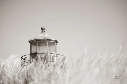 Oregon Coast Lighthouse Neutral by Nathan Larson. SKU 86919i. Archival Giclee Fine art print for wall decor.