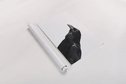 Organ Pipe Cactus Raven Portrait I by Nathan Larson. shown as a rolled paper print. Available as archival giclee rolled canvas, fine art paper, or poster print. SKU 91334i.