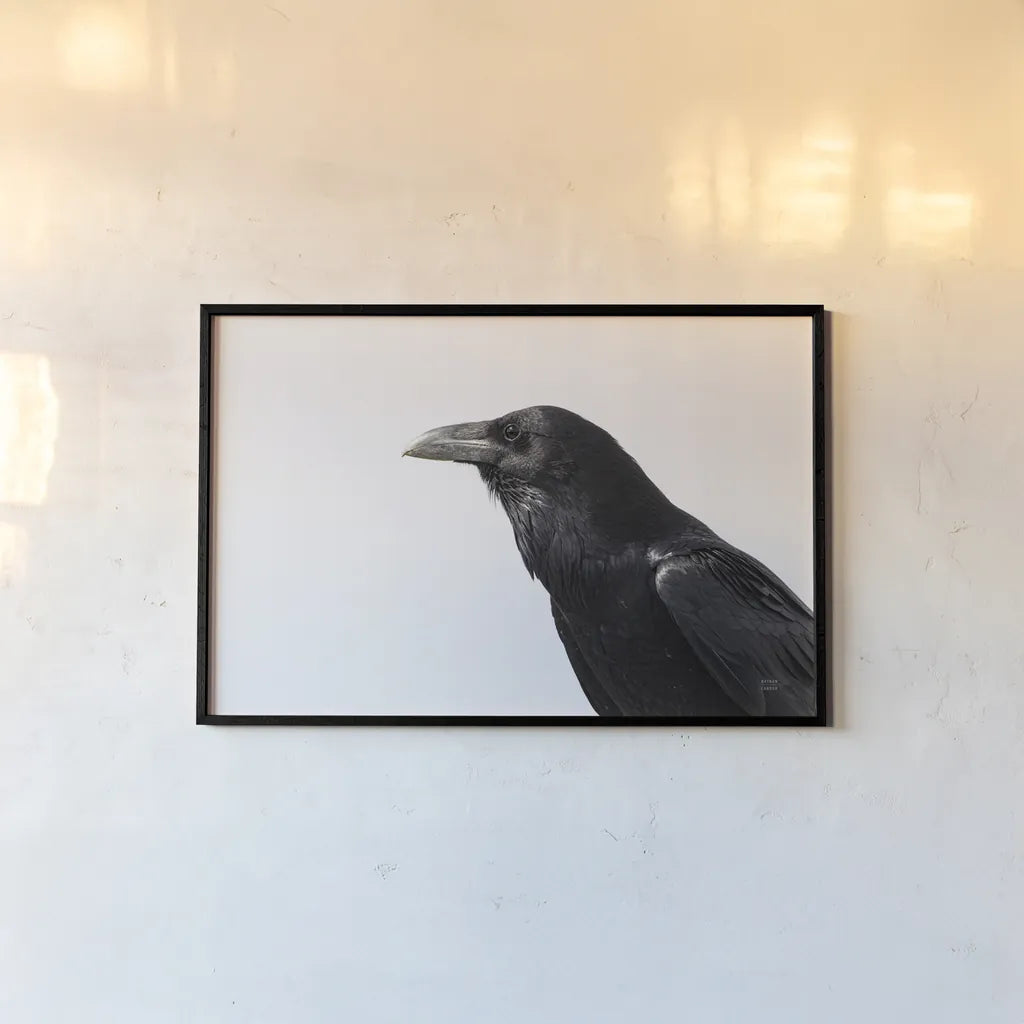 Organ Pipe Cactus Raven Portrait I by Nathan Larson. shown as a paper print in a black flame. Available as a archival giclee rolled canvas, fine art paper, or poster print. SKU 91334i.