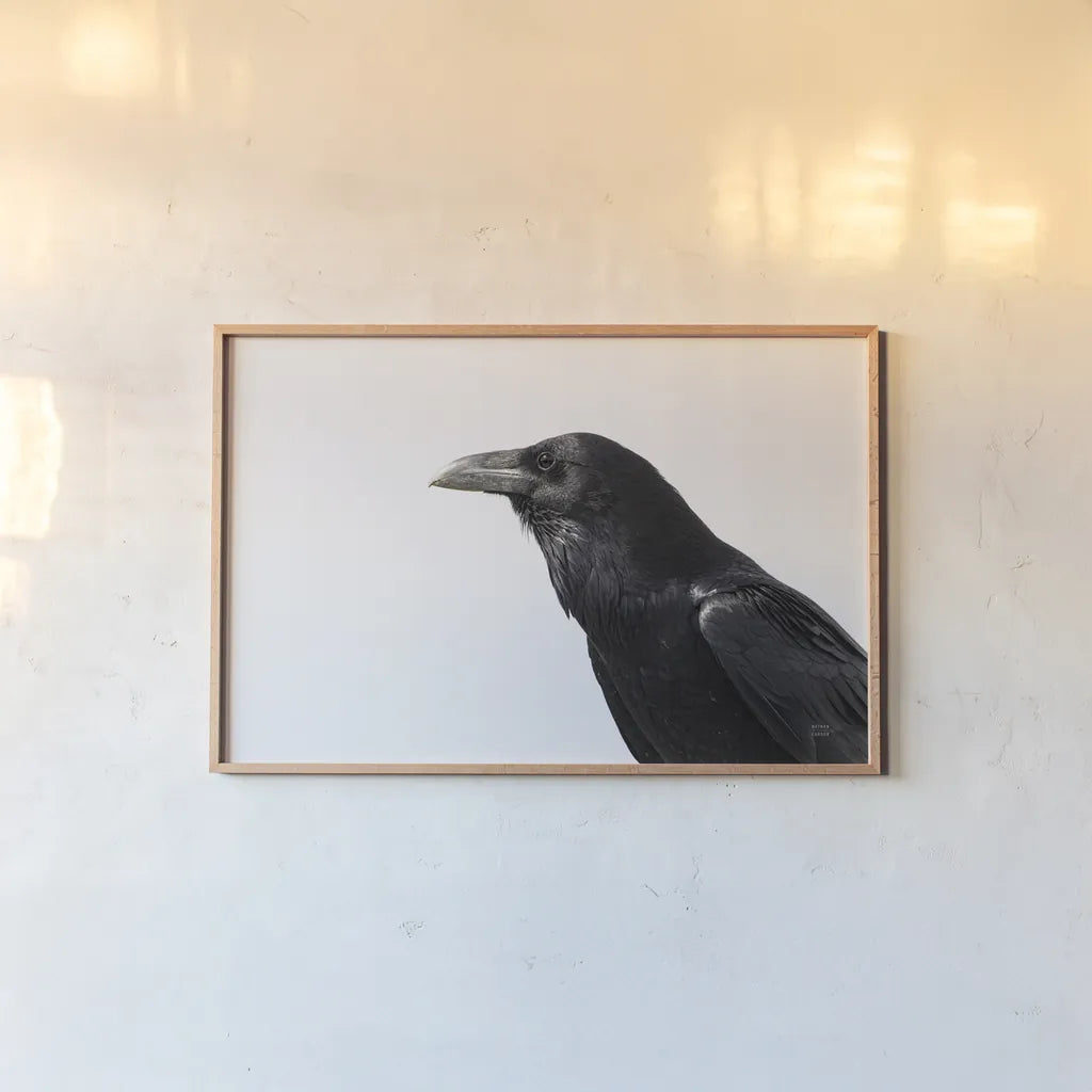 Organ Pipe Cactus Raven Portrait I by Nathan Larson. shown as a paper print in a natural frame. Available as a archival giclee rolled canvas, fine art paper, or poster print. SKU 91334i.