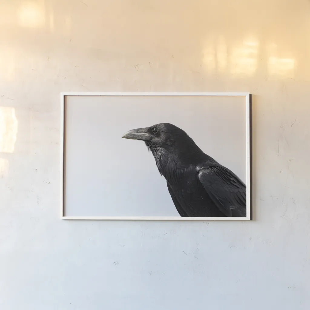 Organ Pipe Cactus Raven Portrait I by Nathan Larson. shown as a paper print in a white frame. Available as a archival giclee rolled canvas, fine art paper, or poster print. SKU 91334i.