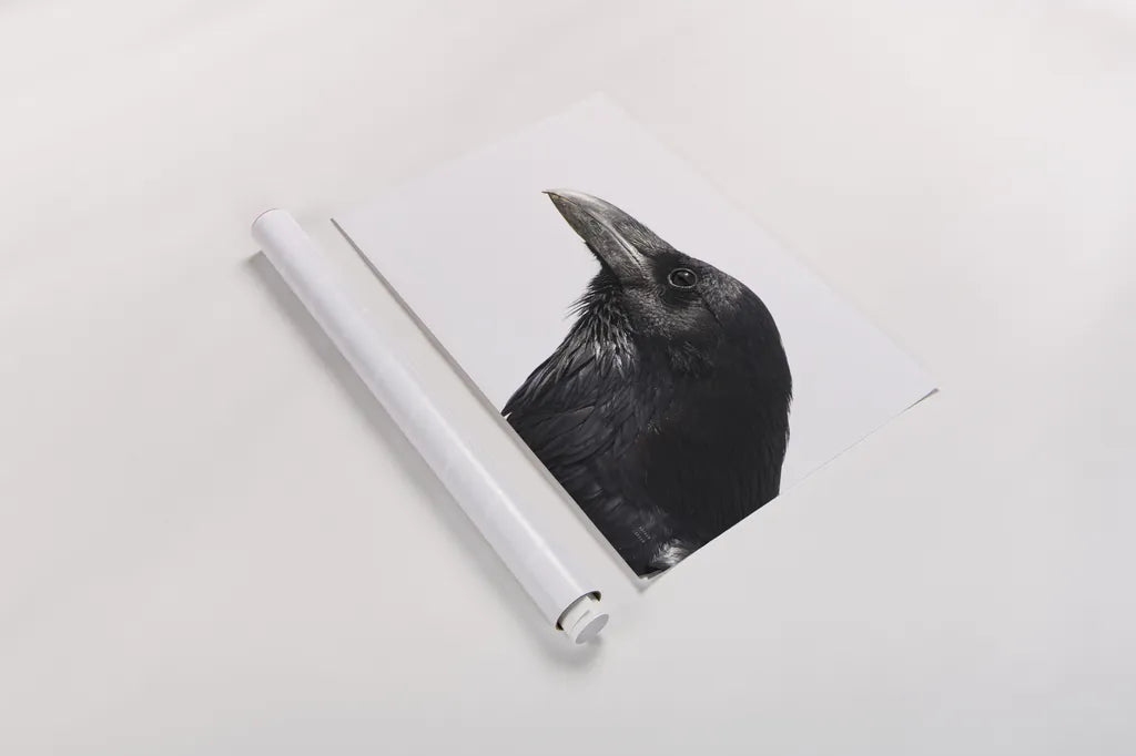 Organ Pipe Cactus Raven Portrait II by Nathan Larson. shown as a rolled paper print. Available as archival giclee rolled canvas, fine art paper, or poster print. SKU 91335i.