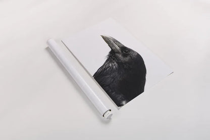 Organ Pipe Cactus Raven Portrait II by Nathan Larson. shown as a rolled paper print. Available as archival giclee rolled canvas, fine art paper, or poster print. SKU 91335i.