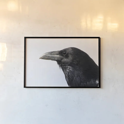 Organ Pipe Cactus Raven Portrait II by Nathan Larson. shown as a paper print in a black flame. Available as a archival giclee rolled canvas, fine art paper, or poster print. SKU 91335i.