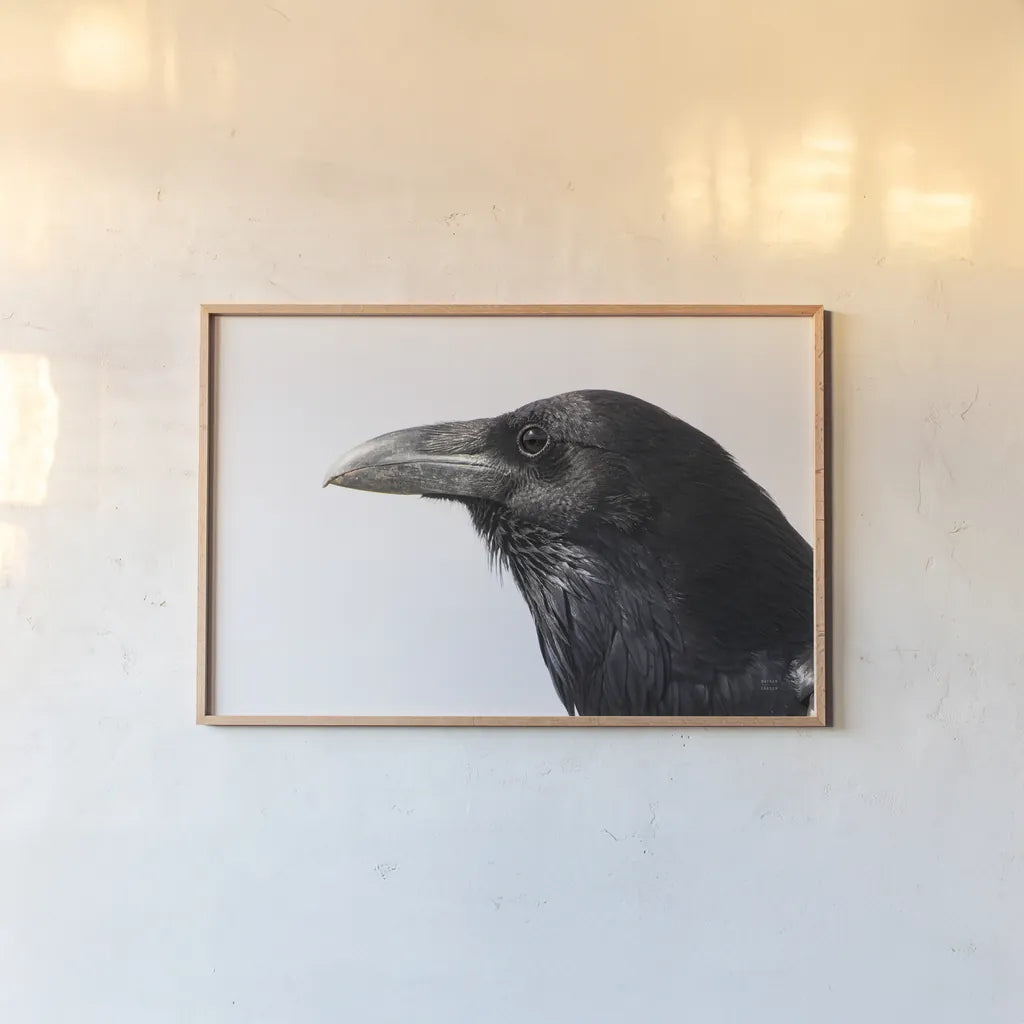 Organ Pipe Cactus Raven Portrait II by Nathan Larson. shown as a paper print in a natural frame. Available as a archival giclee rolled canvas, fine art paper, or poster print. SKU 91335i.