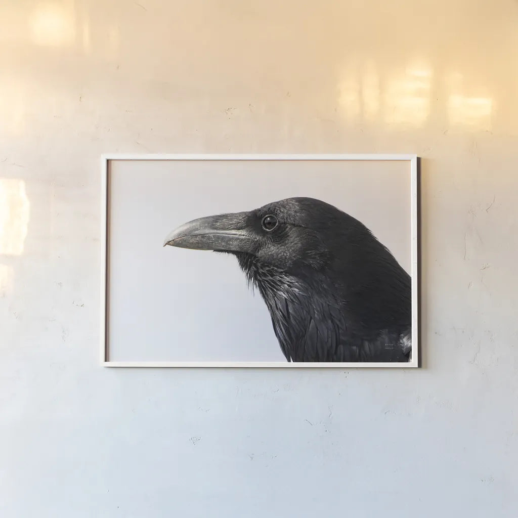 Organ Pipe Cactus Raven Portrait II by Nathan Larson. shown as a paper print in a white frame. Available as a archival giclee rolled canvas, fine art paper, or poster print. SKU 91335i.