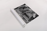 Painted Pony by Nathan Larson. shown as a rolled paper print. Available as archival giclee rolled canvas, fine art paper, or poster print. SKU 99383i.