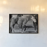 Painted Pony by Nathan Larson. shown as a paper print in a black flame. Available as a archival giclee rolled canvas, fine art paper, or poster print. SKU 99383i.