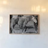 Painted Pony by Nathan Larson. shown as a paper print in a natural frame. Available as a archival giclee rolled canvas, fine art paper, or poster print. SKU 99383i.