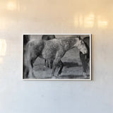 Painted Pony by Nathan Larson. shown as a paper print in a white frame. Available as a archival giclee rolled canvas, fine art paper, or poster print. SKU 99383i.