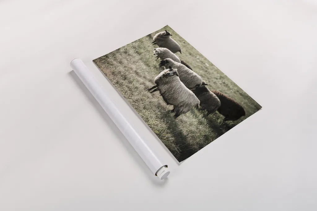 Pastures by Nathan Larson. shown as a rolled paper print. Available as archival giclee rolled canvas, fine art paper, or poster print. SKU 83983i.