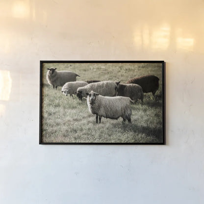 Pastures by Nathan Larson. shown as a paper print in a black flame. Available as a archival giclee rolled canvas, fine art paper, or poster print. SKU 83983i.