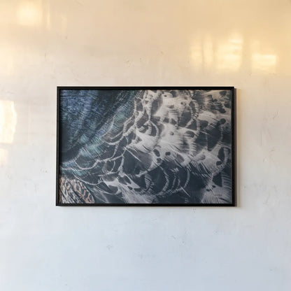 Peacock Study I Horizontal by Nathan Larson. shown as a paper print in a black flame. Available as a archival giclee rolled canvas, fine art paper, or poster print. SKU 89940i.