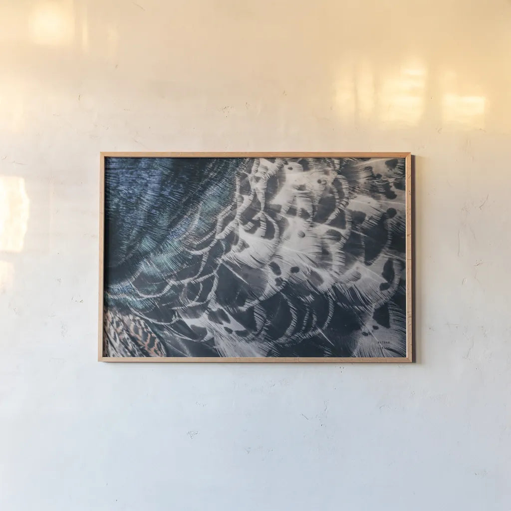 Peacock Study I Horizontal by Nathan Larson. shown as a paper print in a natural frame. Available as a archival giclee rolled canvas, fine art paper, or poster print. SKU 89940i.
