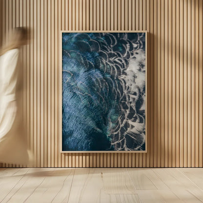 Peacock Study II by Nathan Larson. shown as over sized large wall art. Available as an archival giclee rolled canvas, fine art paper, or poster print. SKU 81193h.