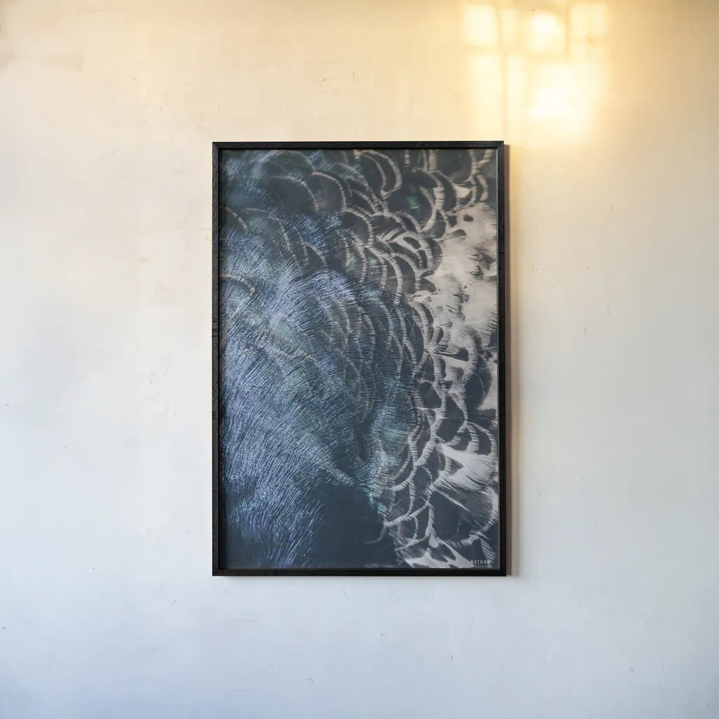 Peacock Study II by Nathan Larson. shown as a paper print in a black flame. Available as a archival giclee rolled canvas, fine art paper, or poster print. SKU 81193h.